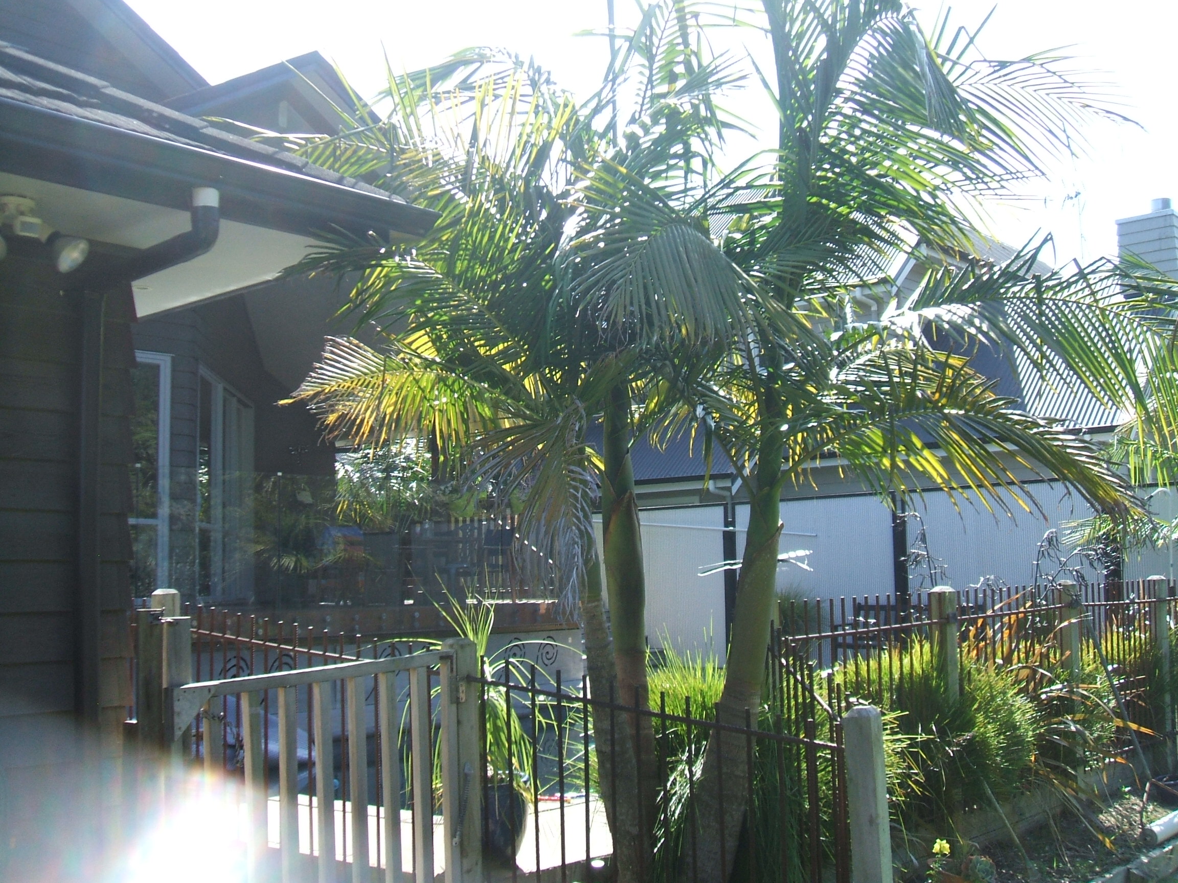 Rusticated pool enclosure by owner